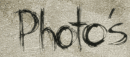 Link to Photography