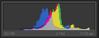 Clock-histogram